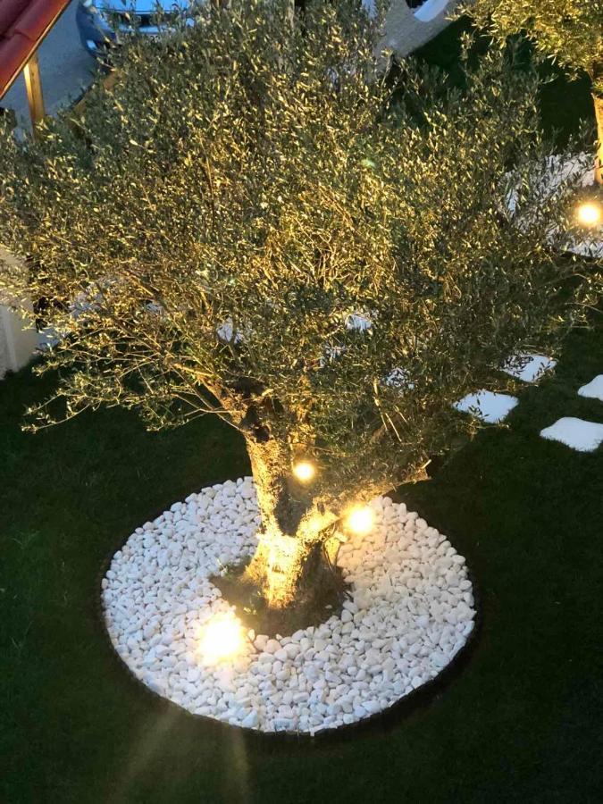 Amaryllis House Apartamento Platamonas Exterior foto